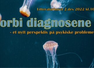 Forbi diagnosene – et nytt perspektiv på psykiske problemer