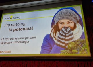 Fra patologi til potensial – et seminar for forandring