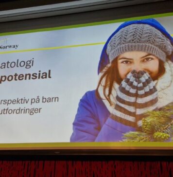 Fra patologi til potensial – et seminar for forandring