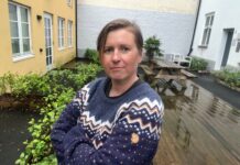 Tid for å mobilisere: Støtt Helen Wesnes i hennes kamp mot staten!